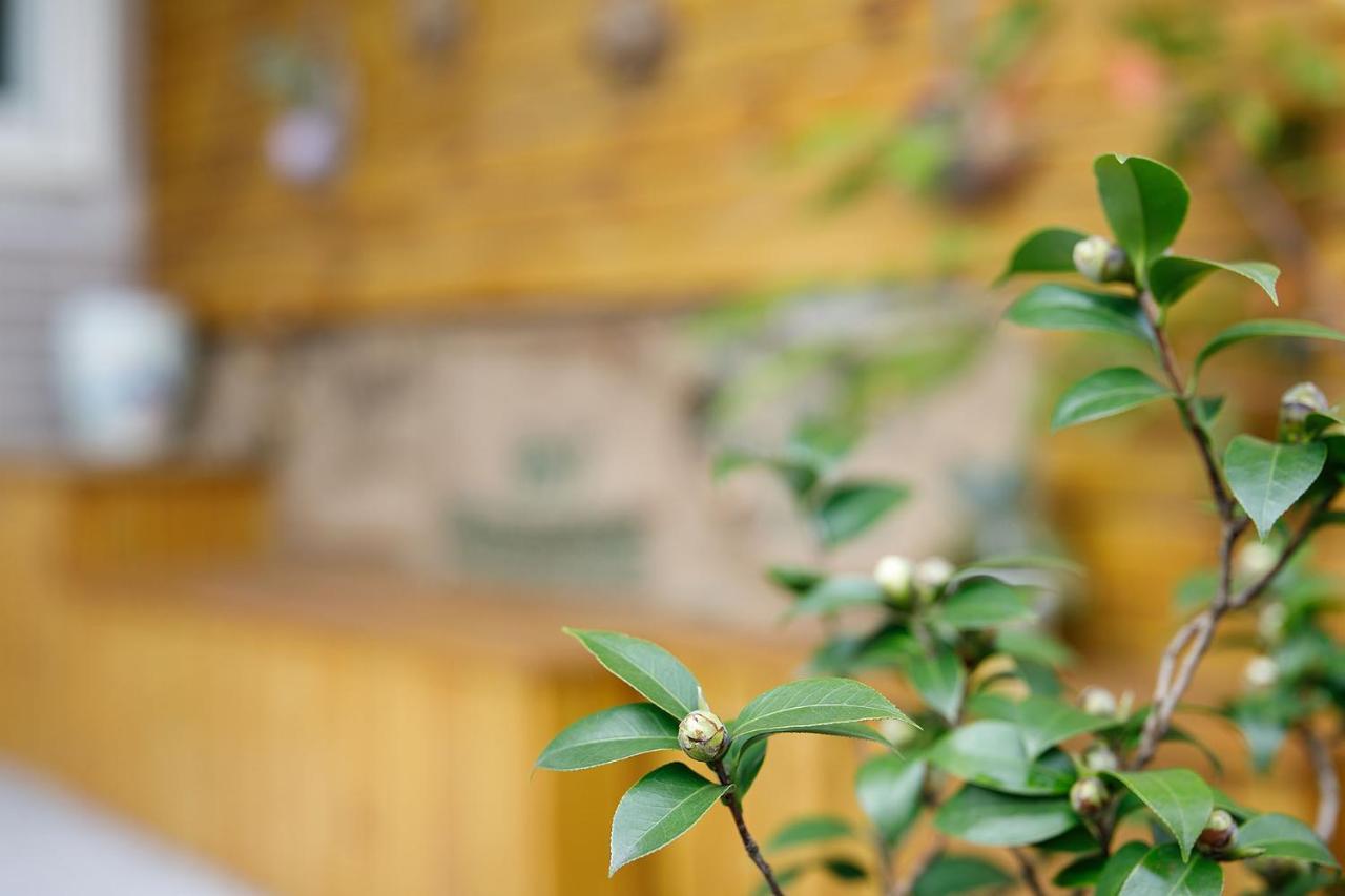 Yi Jing Bnb Hualien City Ngoại thất bức ảnh